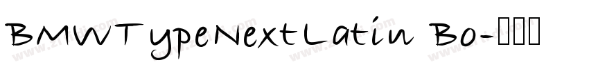 BMWTypeNextLatin Bo字体转换